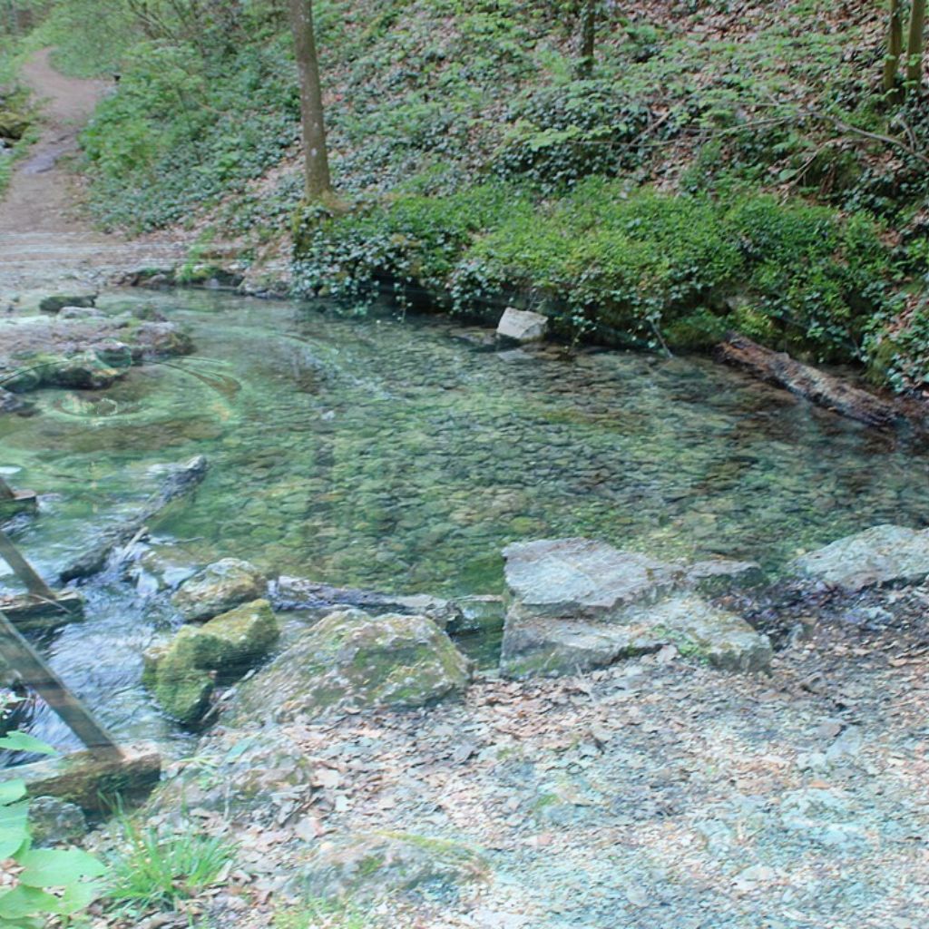 Wo das Wasser erwacht – Am Kocherursprung beginnt die Reise eines Flusses